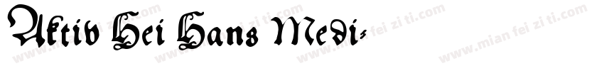 Aktiv Hei Hans Medi字体转换